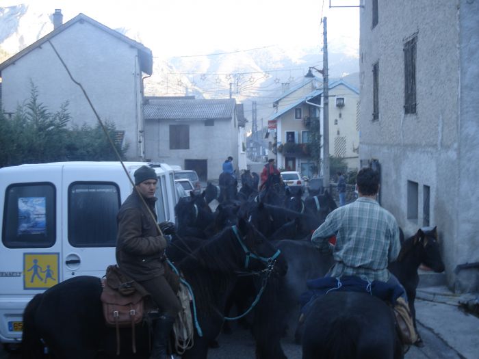 Cheval de Mérens du domaine de Sié