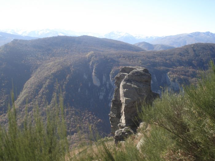 Cheval de Mérens du domaine de Sié