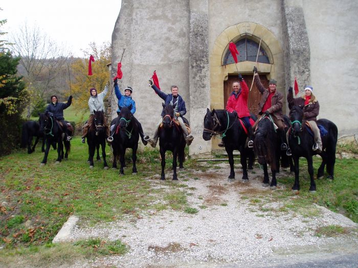 Cheval de Mérens du domaine de Sié