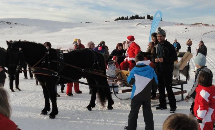 Cheval de Mérens du domaine de Sié