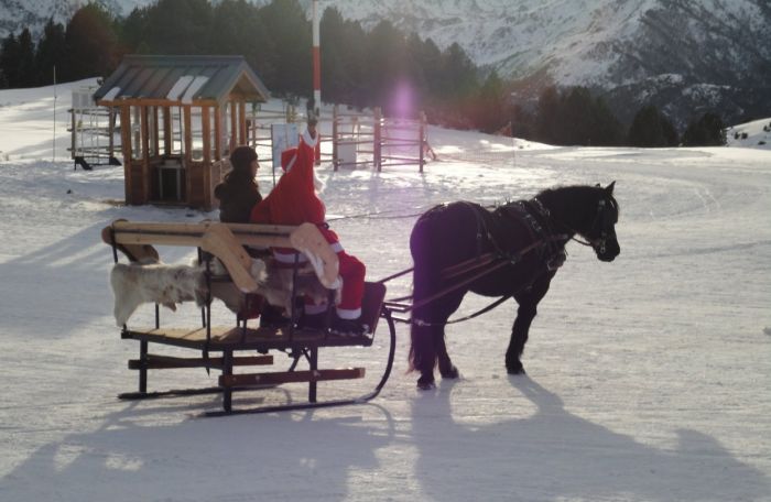 Cheval de Mérens du domaine de Sié